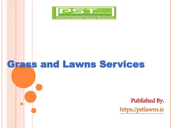 Grass and Lawns Services