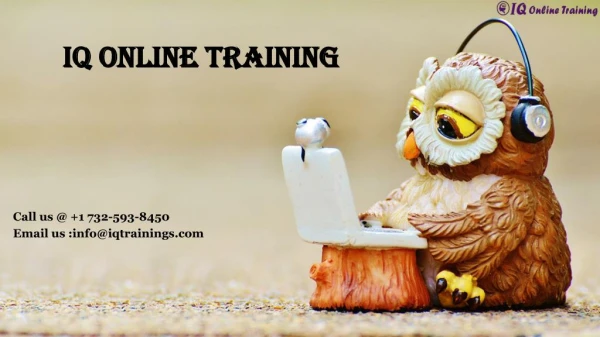 Be trained to Sharepoint online courses step by step|IQ online training