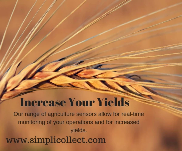 Increase Your Yields