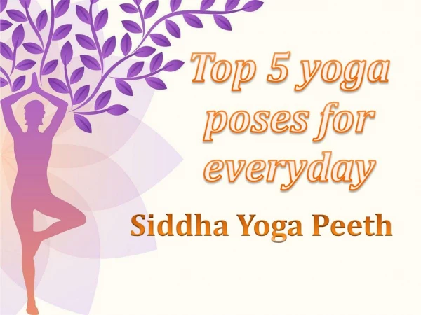 Top 5 yoga poses for everyday