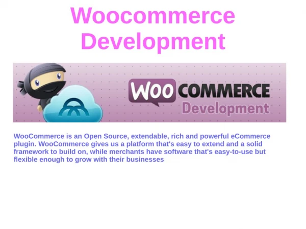 Woocommerce Development Serviecs