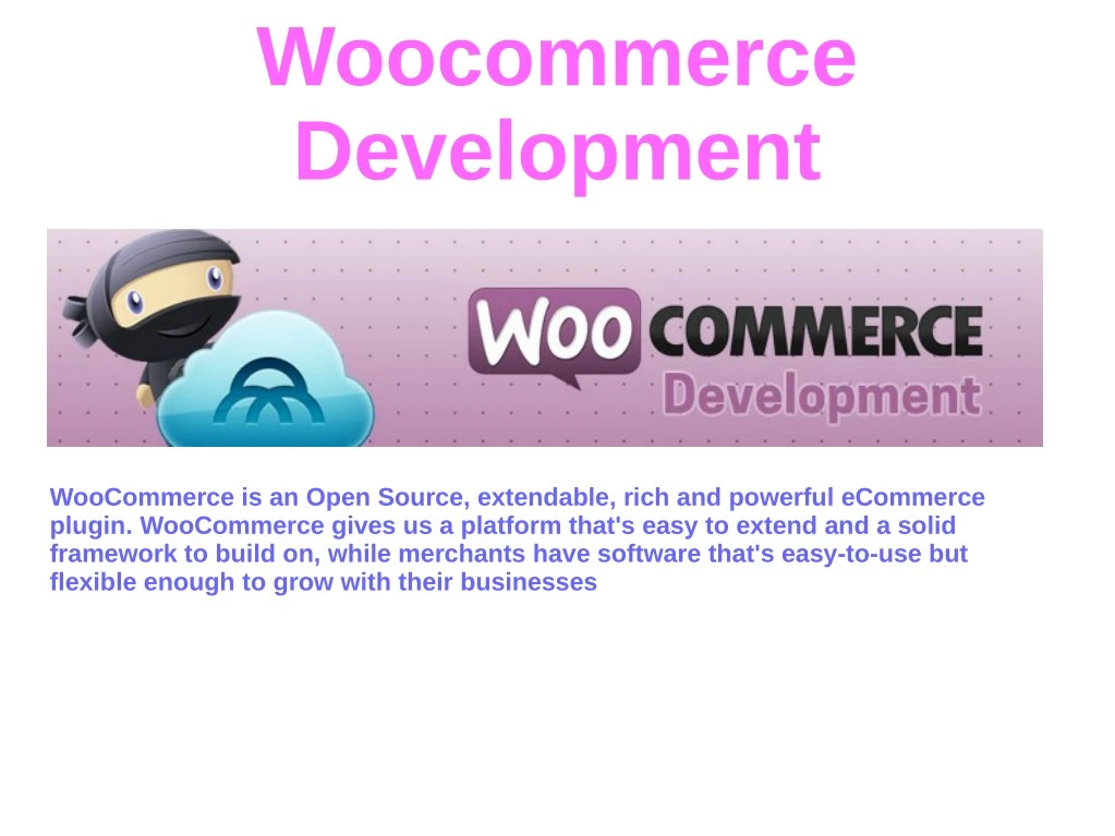 woocommerce development