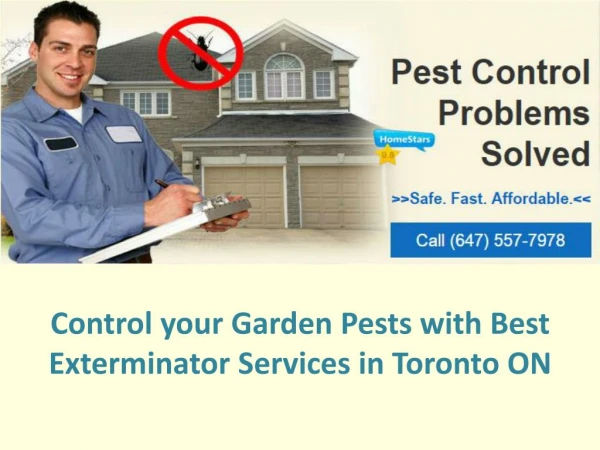 Control Your Garden Pests with Best Exterminator Services In Toronto ON