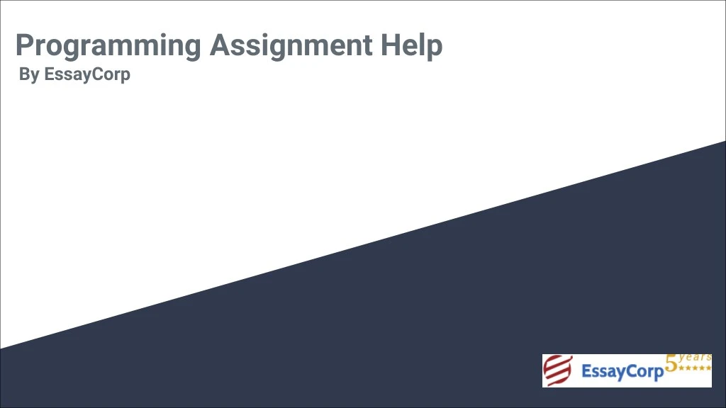 programming assignment help by essaycorp