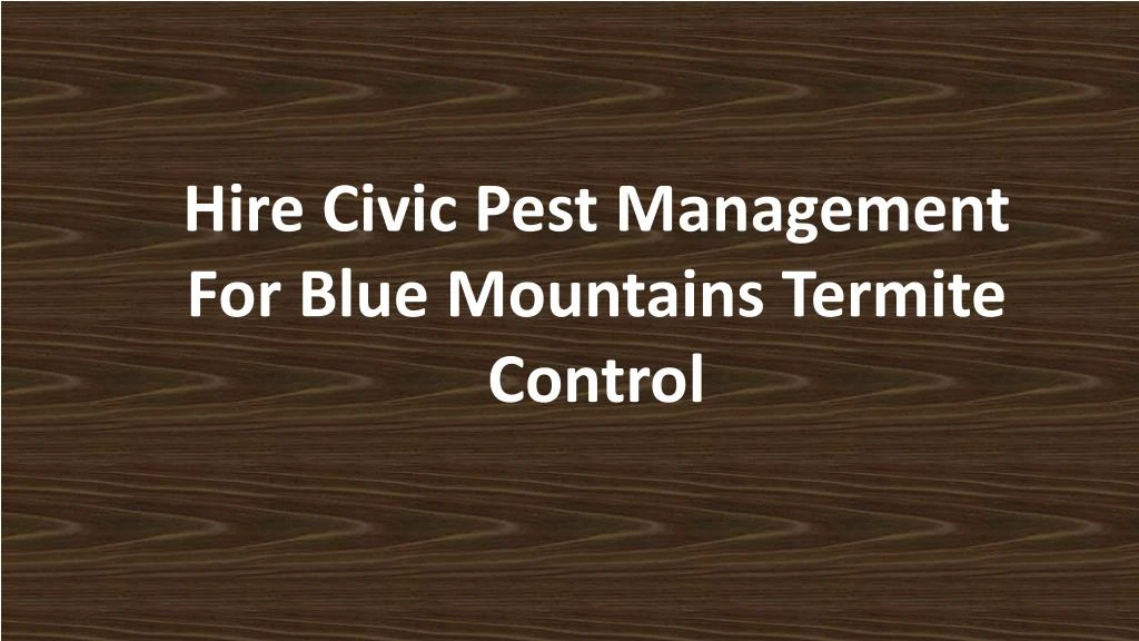 hire civic pest management for blue mountains