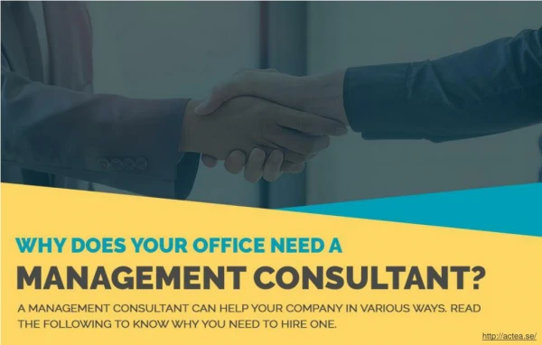 Benefits of a Management Consultant