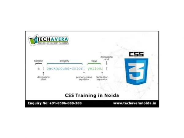 CSS Training in Noida | Best CSS Training Institute in Noida
