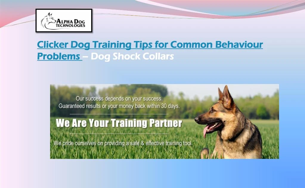 clicker dog training tips for common behaviour