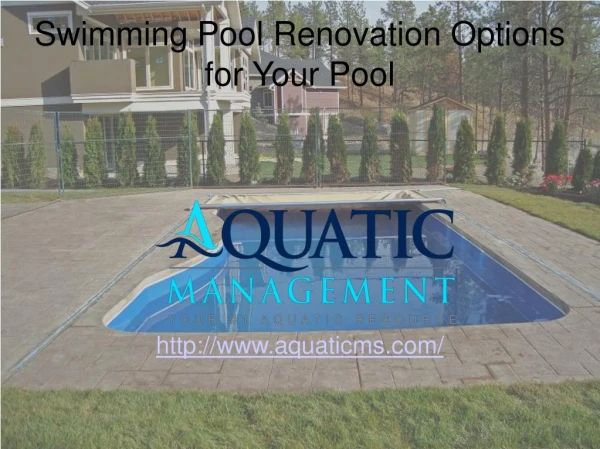 Swimming Pool Renovation Options For Your Swimming Pool