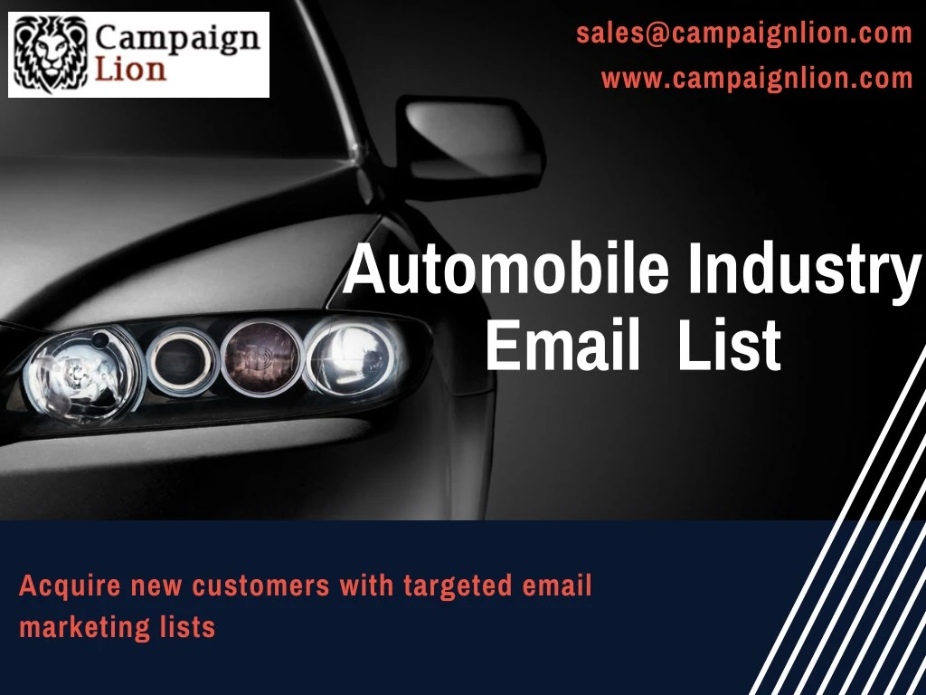 sales@campaignlion com www campaignlion com