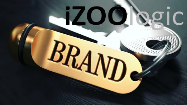Anti Phishing Protection | iZOOlogic