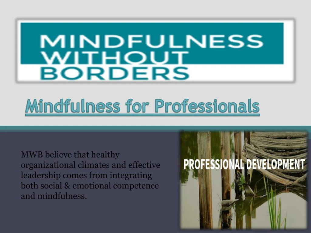 mindfulness for professionals