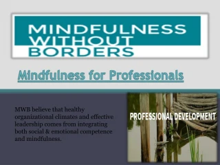 Professional Leadership Skills - slide 1