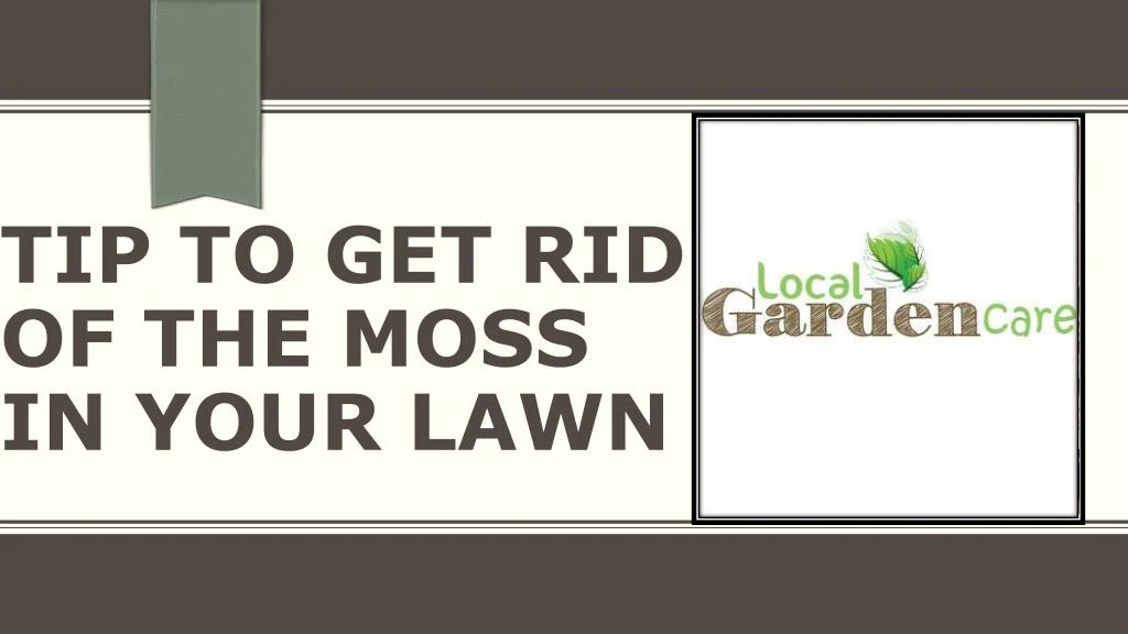tip to get rid of the moss in your lawn