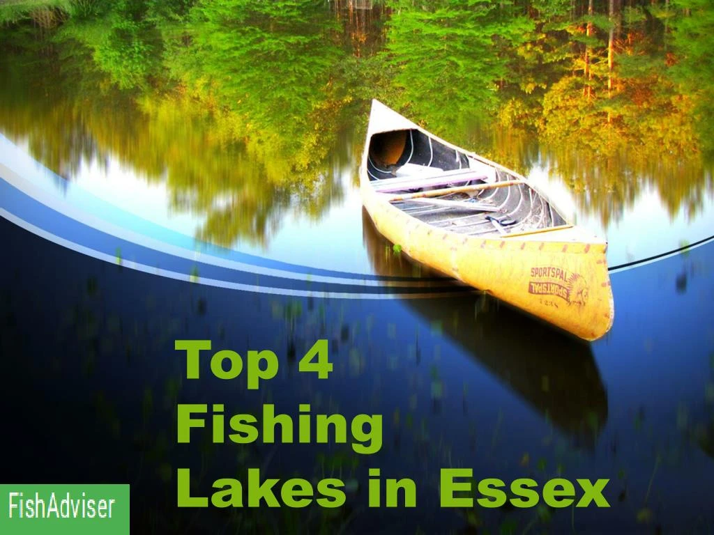 top 4 fishing lakes in essex