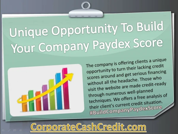 Unique Opportunity To Build Your Company Paydex Score