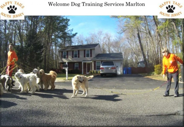 Best Dog Trainers in Marlton