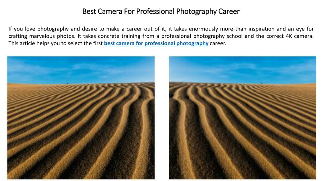 best camera for professional photography career