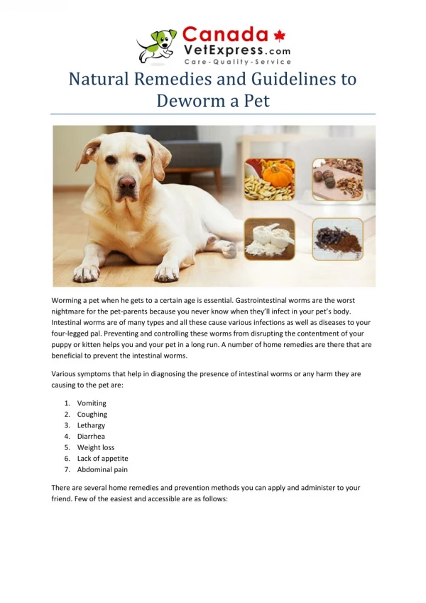 Natural Remedies and Guidelines to Deworm a Pet