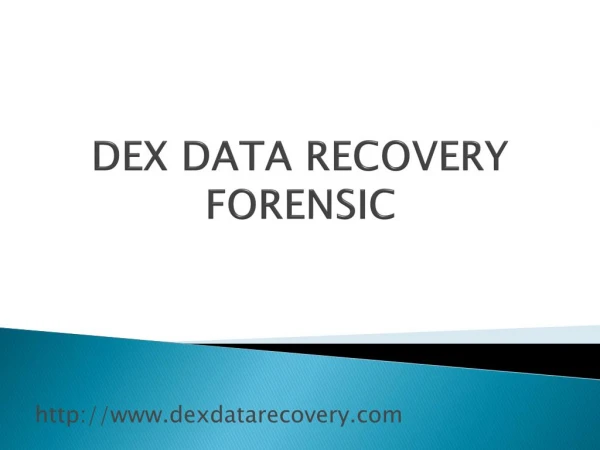 Data Recovery System Supplier in Pune - Dex Data Recovery Forensic