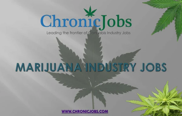 Marijuana Industry Jobs | Chronic Jobs