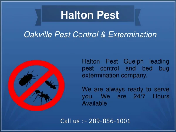 Halton Pest - Oakville Pest Control and Exterminators