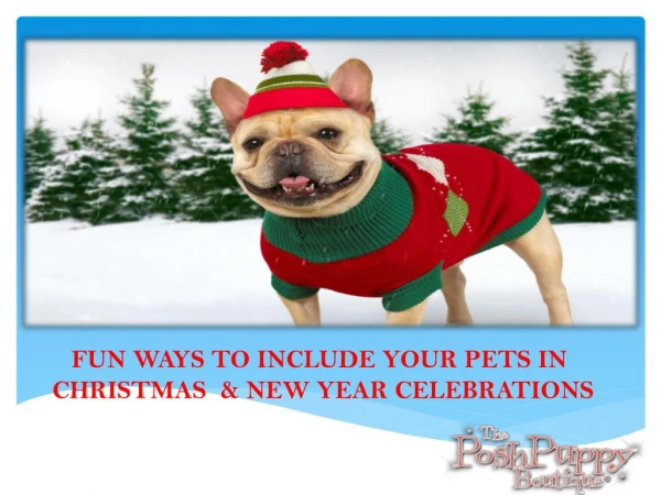 Fun Ways To Include Your Pets In Christmas & New Year Celebrations