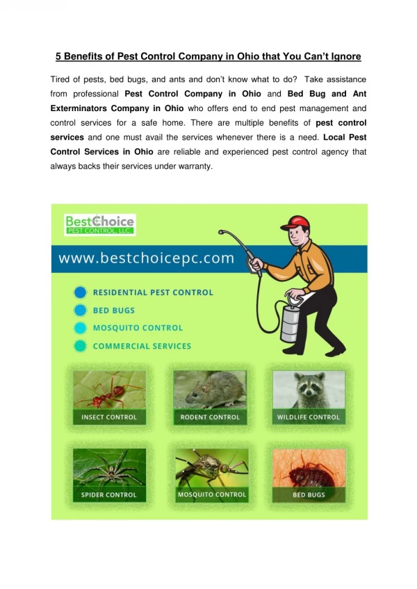5 Benefits of Pest Control Company in Ohio that You Can’t Ignore