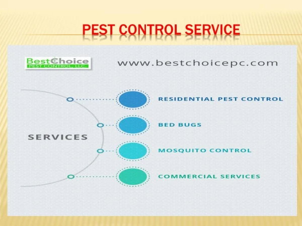 Pest Control Service In Ohio | Best Choice PC |