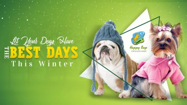 Let Your Dogs Have The Best Days This Winter