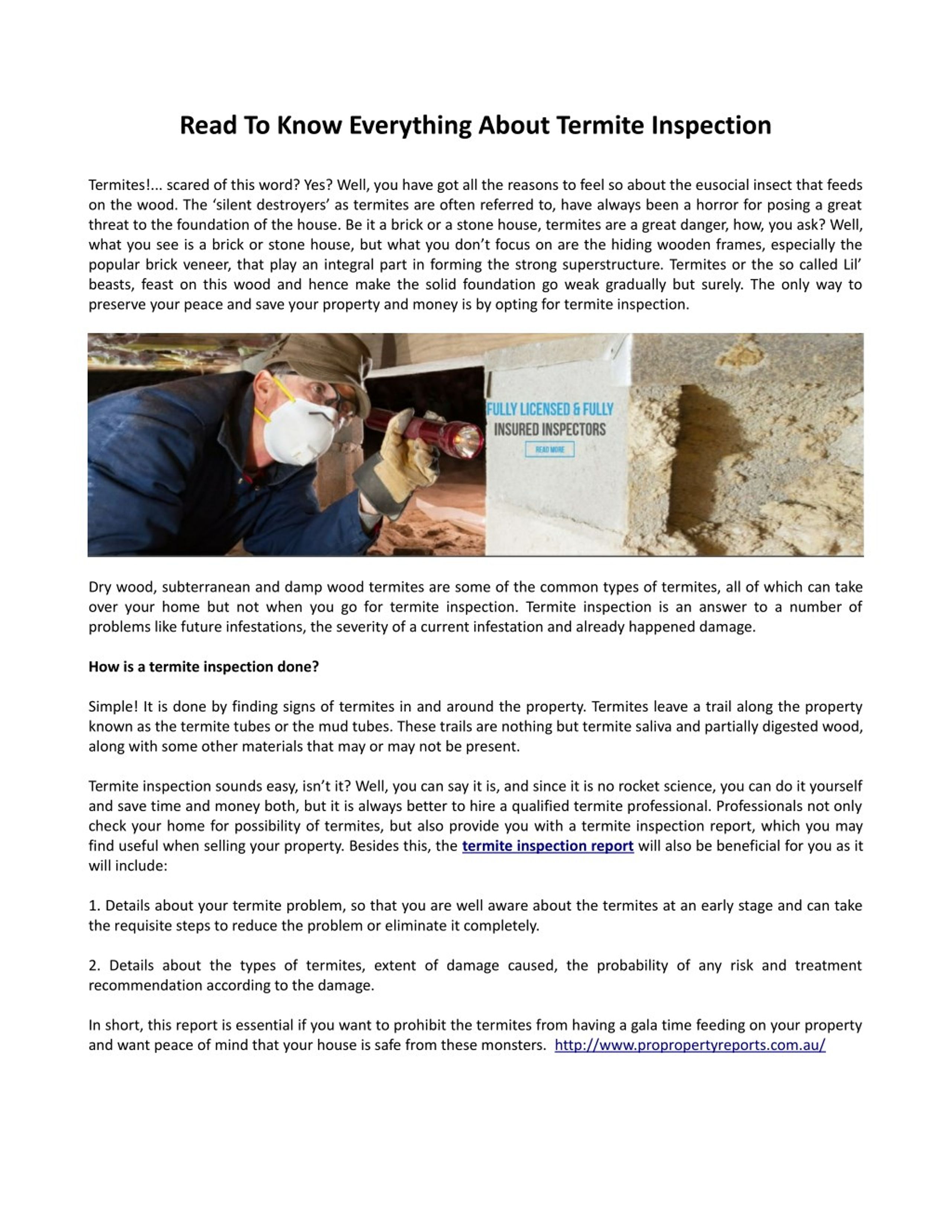 Termite Report Example PPT - Read To Know Everything About Termite Inspection PowerPoint ...