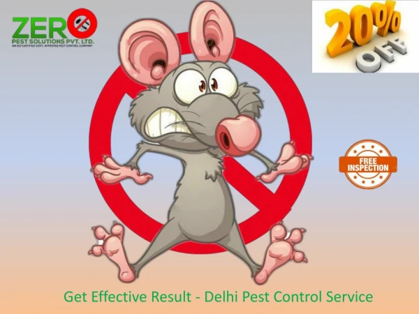 Get Effective Result - Delhi Pest Control Service