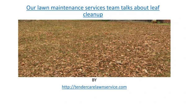 Our lawn maintenance services team talks about leaf cleanup