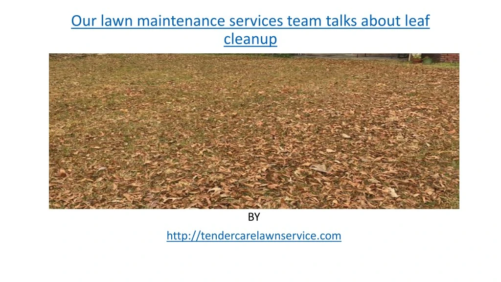 our lawn maintenance services team talks about