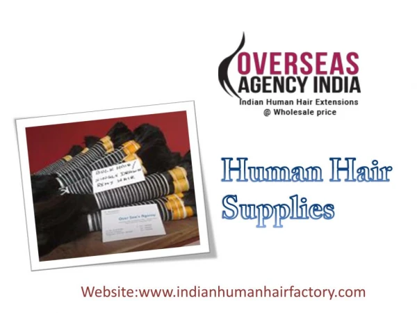 Human Hair Supplies from Overseas Agency