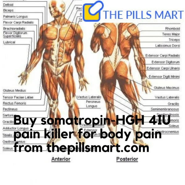 Buy Somatropin Injection Online for Sale -HGH 4IU