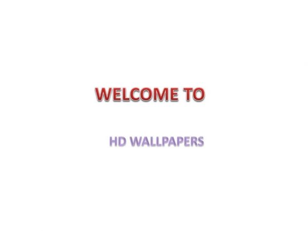 Get Free HD Wall Papers at Wallpapers.net