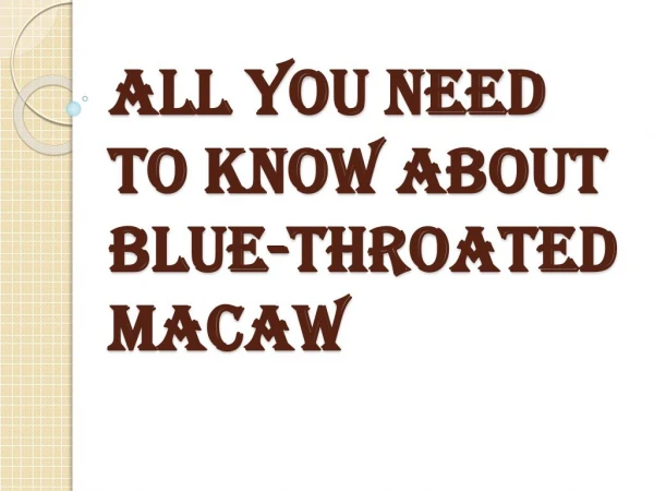 Information About Blue-Throated Macaw