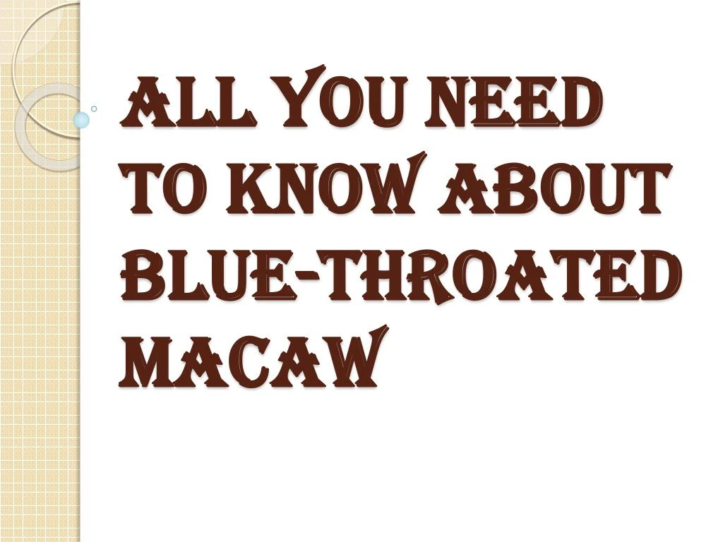 all you need to know about blue throated macaw