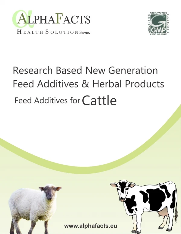 Animal health product manufacturer, Herbal / organic veterinary products, Chelated mineral mixtures, Poultry feed supple