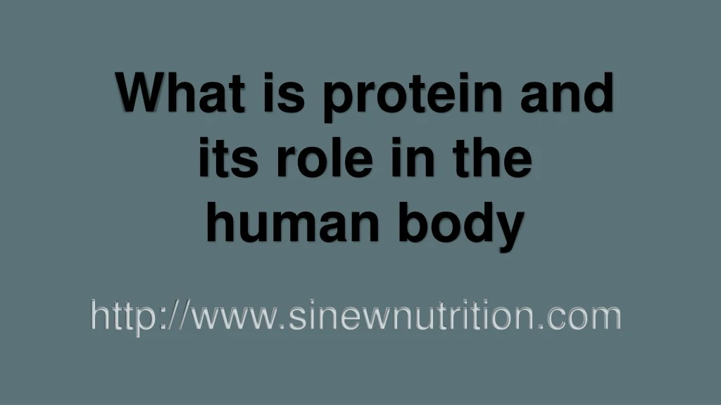 what is protein and its role in the human body