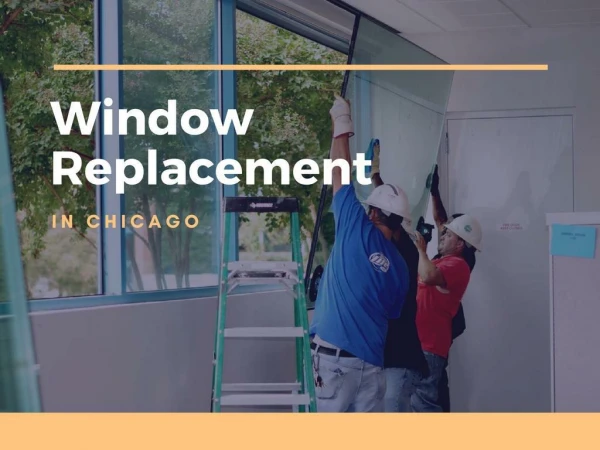 Professional Windows and Doors Replacement service provider in Chicago