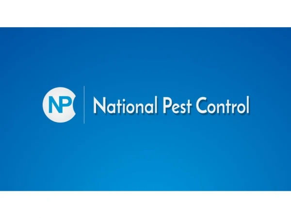 National pest control service mumbai, Thane, Navi Mumbai