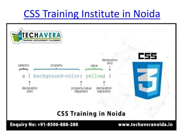 CSS Training Institute in Noida