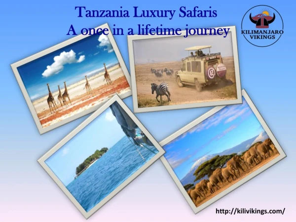 Tanzania Luxury Safaris-A once in a lifetime journey‎