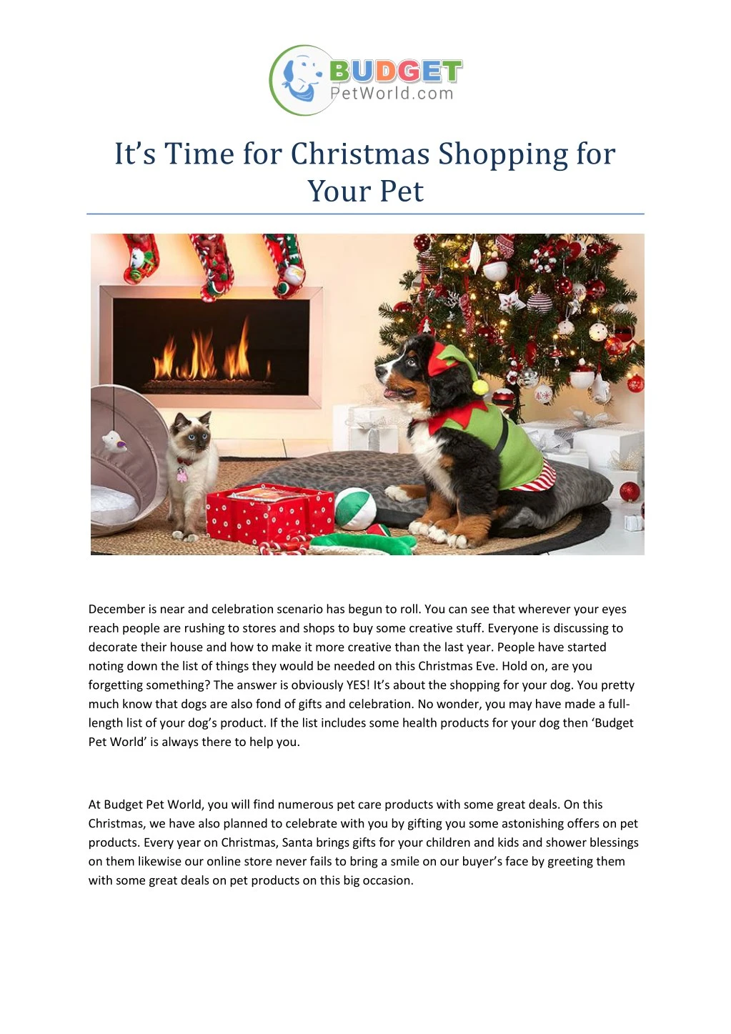 it s time for christmas shopping for your pet