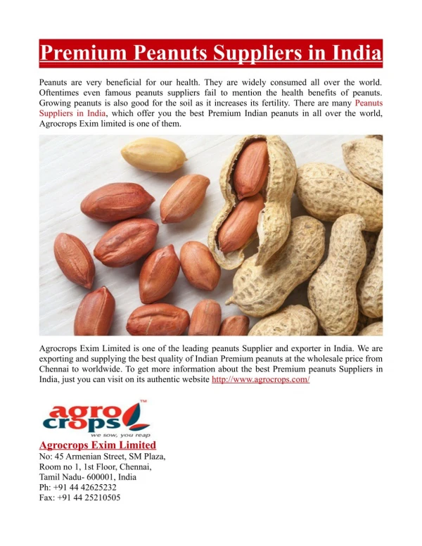 Premium Peanuts Suppliers in India