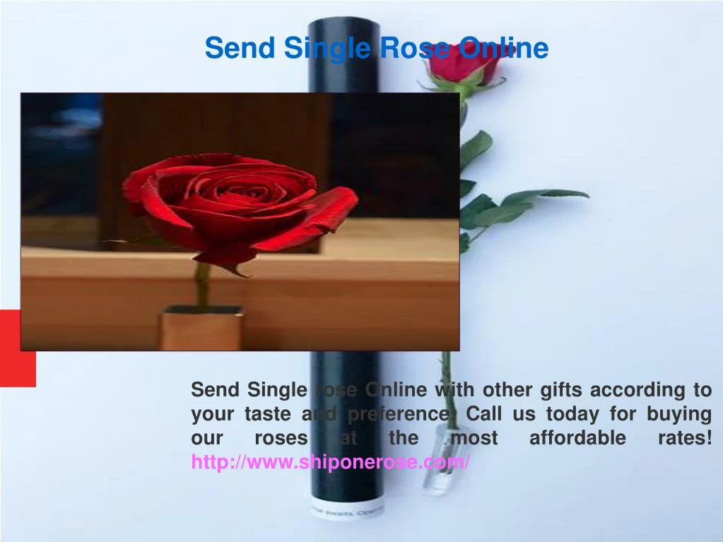 send single rose online