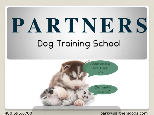 Private Dog Training Classes
