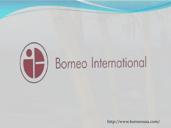 borneousa international
